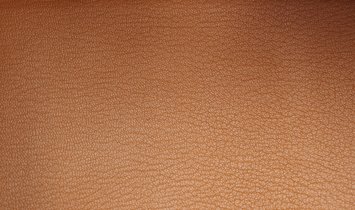 HERMÈS Birkin 25 Handbag - Fauve Barenia Leather with Gold Hardware