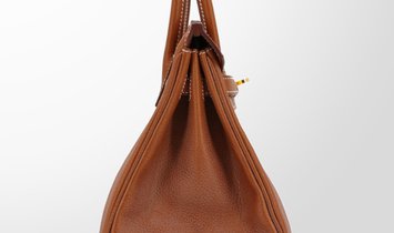 HERMÈS Birkin 25 Handbag - Fauve Barenia Leather with Gold Hardware
