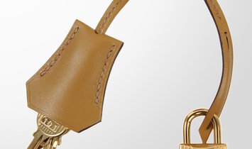 HERMÈS Birkin 25 Tadelakt Leather Handbag - Poussiere with Gold Hardware
