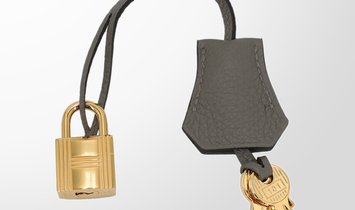 HERMÈS Birkin 25 Togo Leather Handbag - Gris Meyer with Gold Hardware