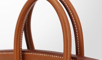 HERMÈS Birkin 25 Handbag - Fauve Barenia Leather with Gold Hardware