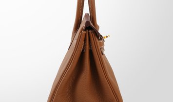 HERMÈS Birkin 25 Togo Leather Handbag - Gold with Gold Hardware