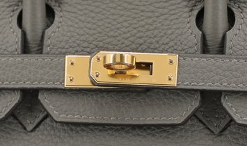 HERMÈS Birkin 25 Togo Leather Handbag - Gris Meyer with Gold Hardware