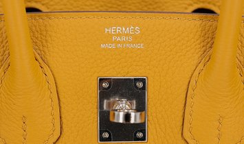 HERMÈS Birkin 25 Togo Leather Handbag - Jaune Ambre with Palladium Hardware