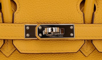 HERMÈS Birkin 25 Togo Leather Handbag - Jaune Ambre with Palladium Hardware