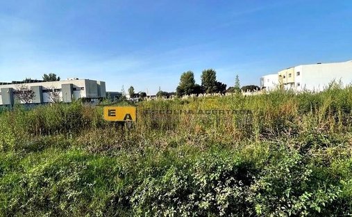 Land in Vila Nova da Telha, Porto District, Portugal 1