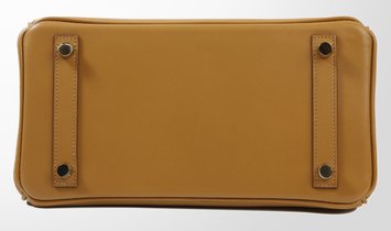 HERMÈS Birkin 25 Tadelakt Leather Handbag - Poussiere with Gold Hardware