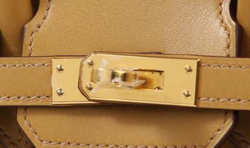 HERMÈS Birkin 25 Tadelakt Leather Handbag - Poussiere with Gold Hardware