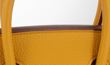 HERMÈS Birkin 25 Togo Leather Handbag - Jaune Ambre with Palladium Hardware