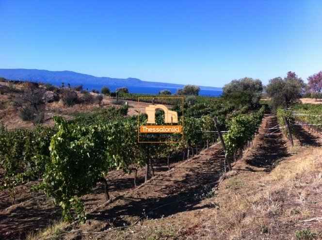 Land in Aristotle, Macedonia and Thrace, Greece 1 - 13375221
