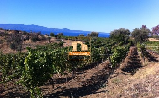 Land in Aristotle, Macedonia and Thrace, Greece 1