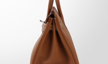 HERMÈS Birkin 25 Togo Leather Handbag - Gold with Palladium Hardware