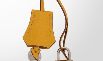 HERMÈS Birkin 25 Togo Leather Handbag - Jaune Ambre with Palladium Hardware