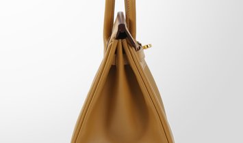HERMÈS Birkin 25 Tadelakt Leather Handbag - Poussiere with Gold Hardware