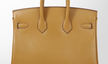 HERMÈS Birkin 25 Tadelakt Leather Handbag - Poussiere with Gold Hardware