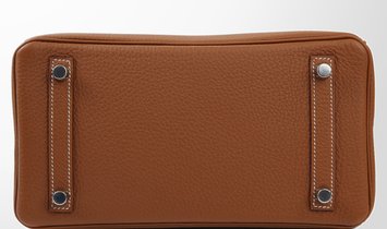 HERMÈS Birkin 25 Togo Leather Handbag - Gold with Palladium Hardware