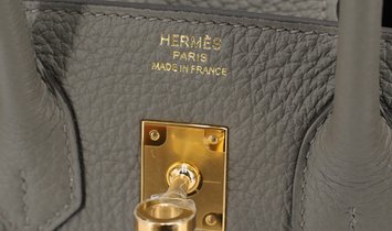 HERMÈS Birkin 25 Togo Leather Handbag - Gris Meyer with Gold Hardware