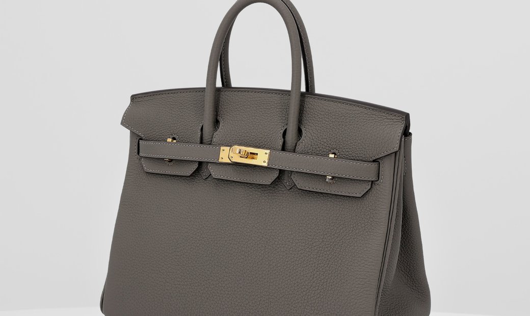 HERMÈS Birkin 25 Togo Leather Handbag - Gris Meyer with Gold Hardware