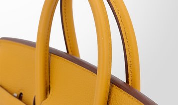 HERMÈS Birkin 25 Togo Leather Handbag - Jaune Ambre with Palladium Hardware