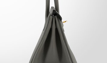 HERMÈS Birkin 25 Togo Leather Handbag - Gris Meyer with Gold Hardware