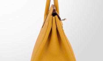 HERMÈS Birkin 25 Togo Leather Handbag - Jaune Ambre with Palladium Hardware
