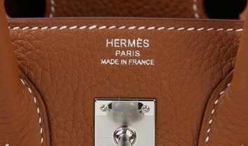 HERMÈS Birkin 25 Togo Leather Handbag - Gold with Palladium Hardware