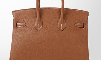 HERMÈS Birkin 25 Togo Leather Handbag - Gold with Palladium Hardware