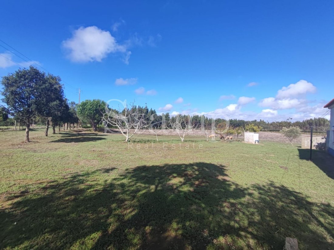 Farm Ranch in Sines, Setubal, Portugal 3 - 13378936
