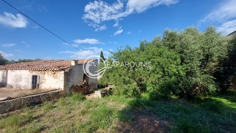 Land in Spetses, Attica, Greece 4 - 13379643