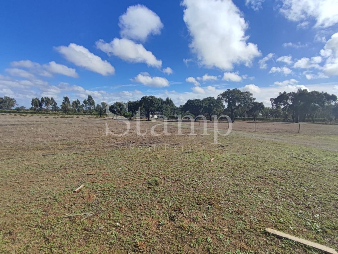 Farm Ranch in Sines, Setubal, Portugal 5 - 13378936