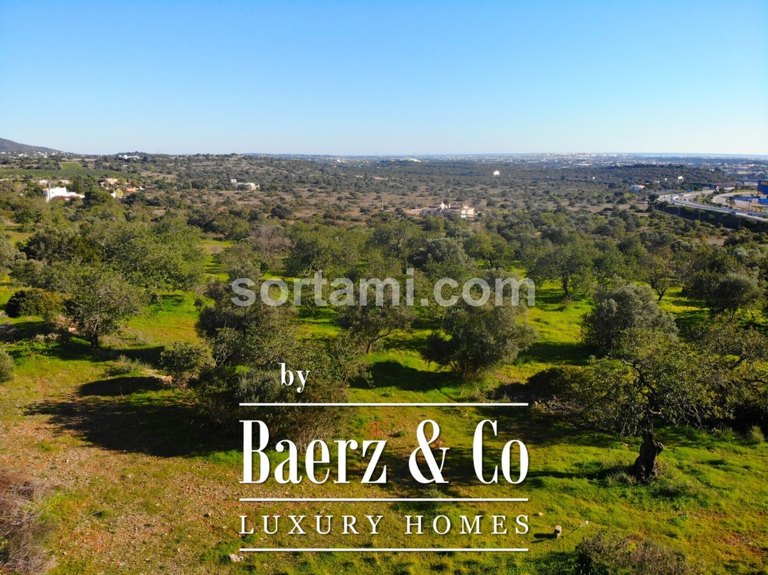 Plot Of Land For Sale In Santa In Santa Bárbara De Nexe, Algarve