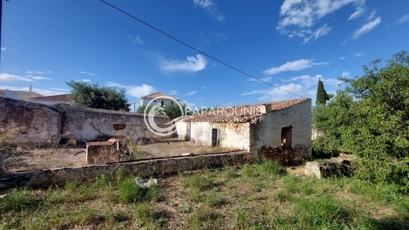 Land in Spetses, Attica, Greece 3 - 13379643