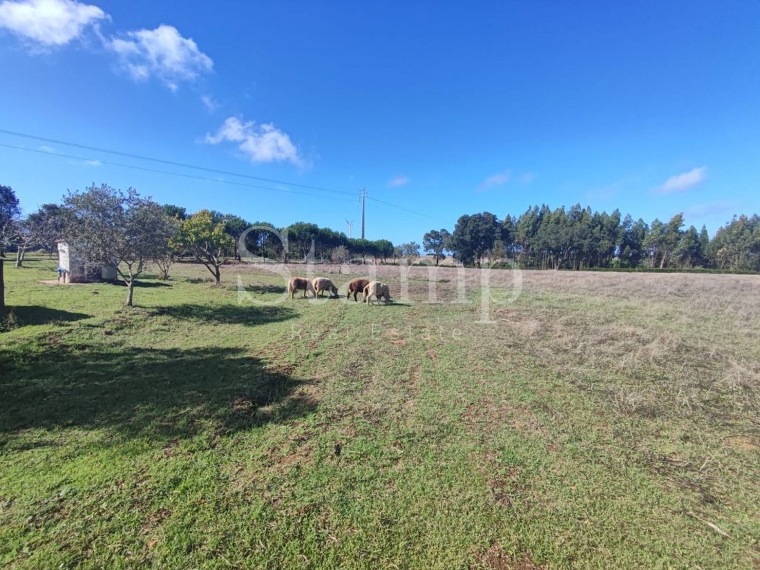 Farm Ranch in Sines, Setubal, Portugal 4 - 13378936