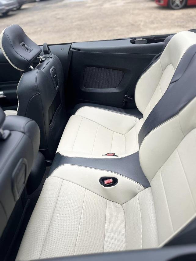 2017 Ford Mustang In Mobile, Al, United States For Sale (13380104)