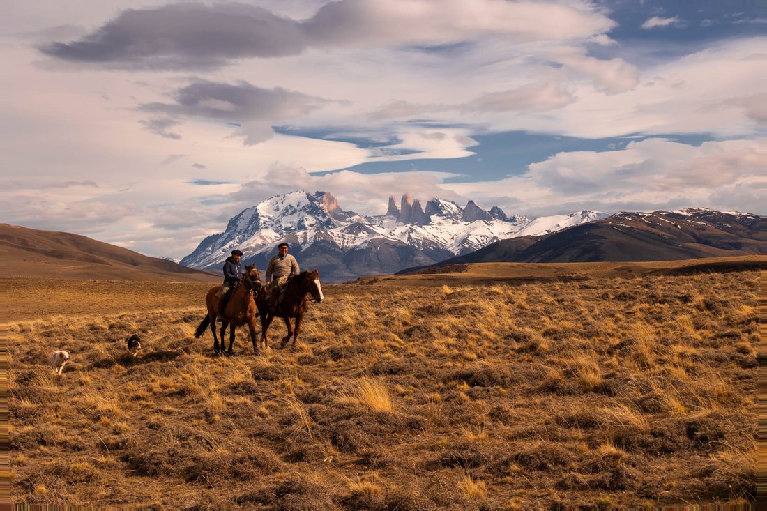 Land in Torres del Paine, Magallanes and Chilean Antarctica, Chile 1 - 13383560