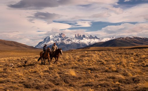 Land in Torres del Paine, Magallanes and Chilean Antarctica, Chile 1
