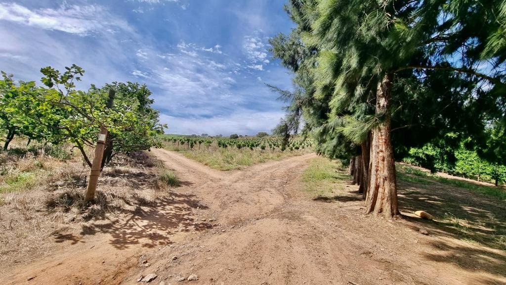 Farm Ranch in Langeberg Local Municipality, Western Cape, South Africa 5 - 13384275