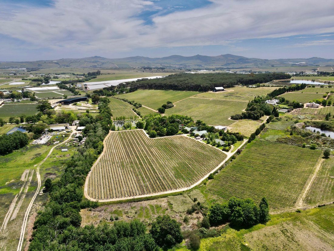 Farm Ranch in Stellenbosch, Western Cape, South Africa 2 - 13384289