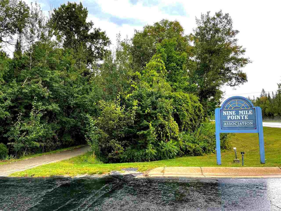 00000 Deerpath Drive In Charlevoix, Michigan, United States For Sale