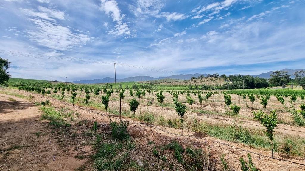Farm Ranch in Langeberg Local Municipality, Western Cape, South Africa 2 - 13384275
