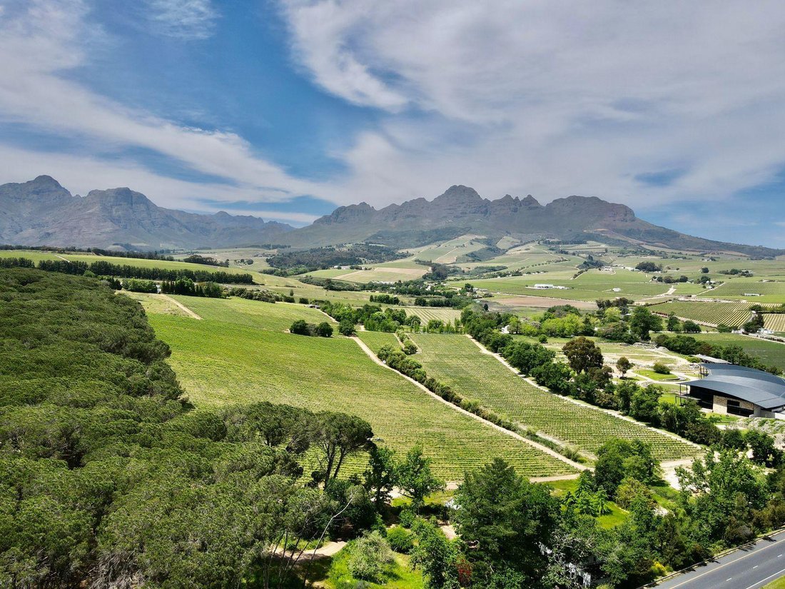 Farm Ranch in Stellenbosch, Western Cape, South Africa 5 - 13384289