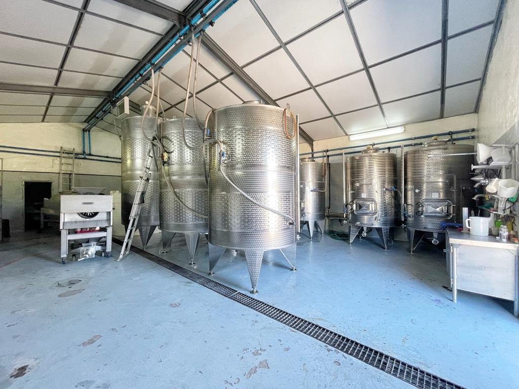 Farm Ranch in Paarl, Western Cape, South Africa 4 - 13384256