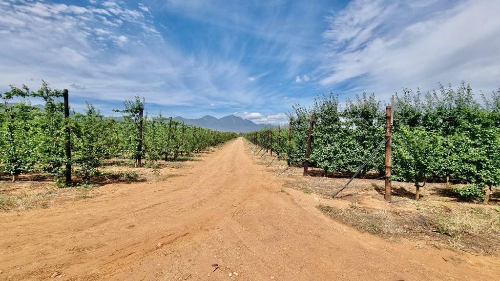 Farm Ranch in Langeberg Local Municipality, Western Cape, South Africa 3 - 13384275