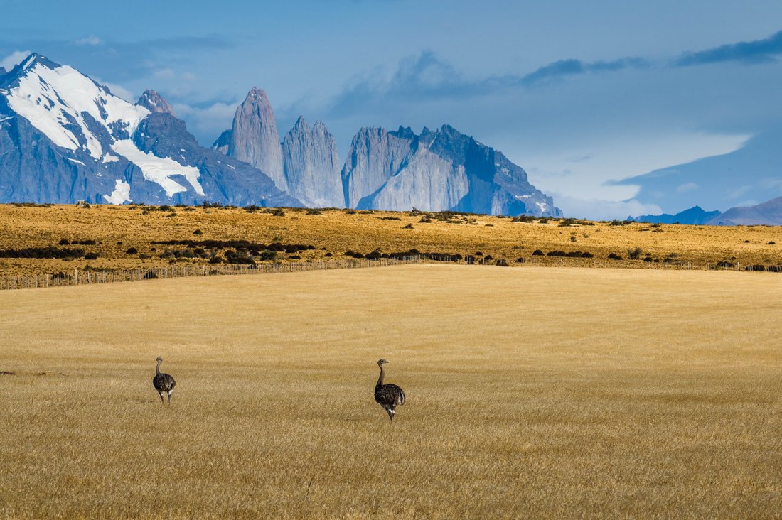 Land in Torres del Paine, Magallanes and Chilean Antarctica, Chile 2 - 13383560