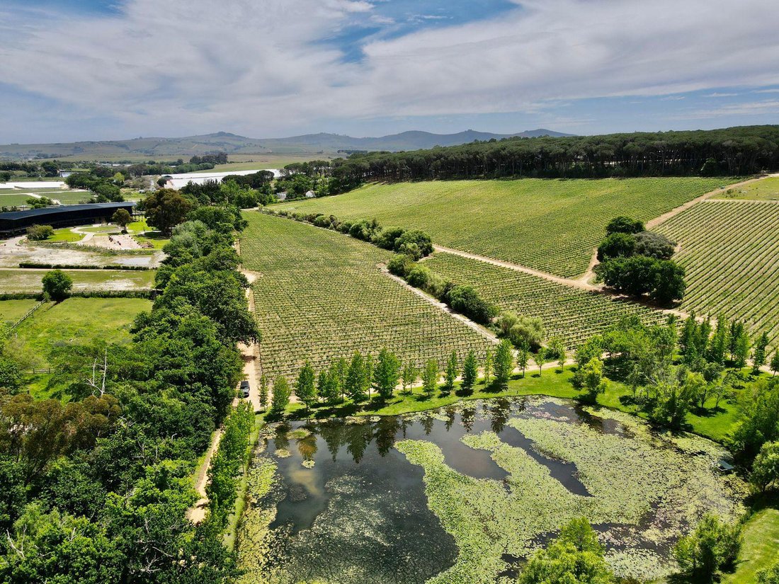 Farm Ranch in Stellenbosch, Western Cape, South Africa 4 - 13384289