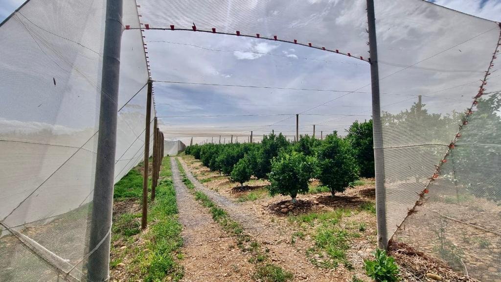 Farm Ranch in Langeberg Local Municipality, Western Cape, South Africa 4 - 13384275