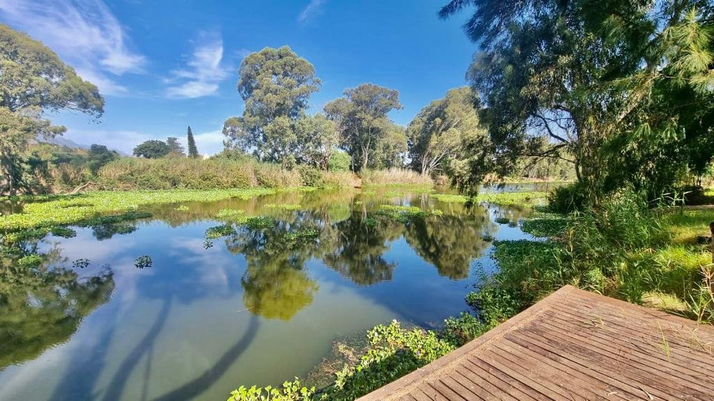 Farm Ranch in Bonnievale, Western Cape, South Africa 1 - 13385891