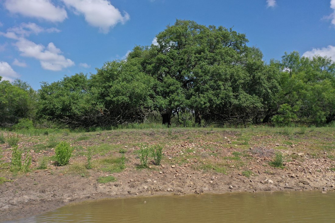 396+/ Acres Quihi Oaks Ranch , Rio Medina, Tx In Hondo, Texas, United