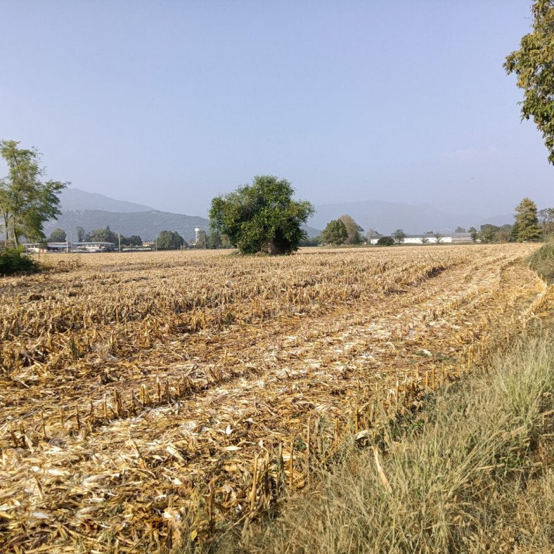 Brescia Land In Prevalle, Lombardy, Italy For Sale (13391696)