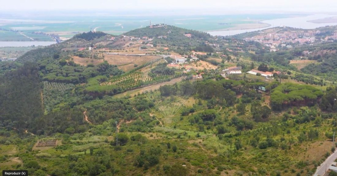 Finca in Vila Franca de Xira, Lisbon, Portugal 5 - 13034399